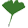 A small ginko leaf
