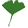 A small ginko leaf