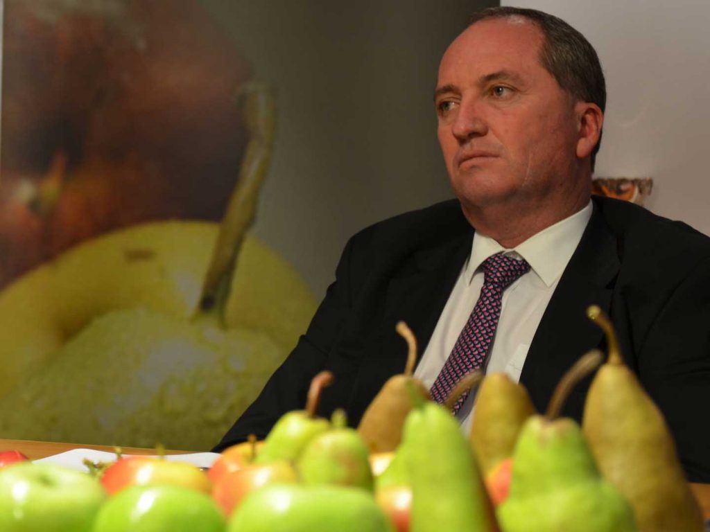 Barnaby Joyce pictured sitting behind some pears