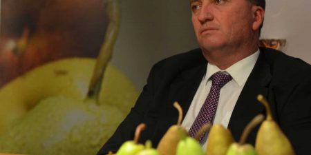 Barnaby Joyce pictured sitting behind some pears